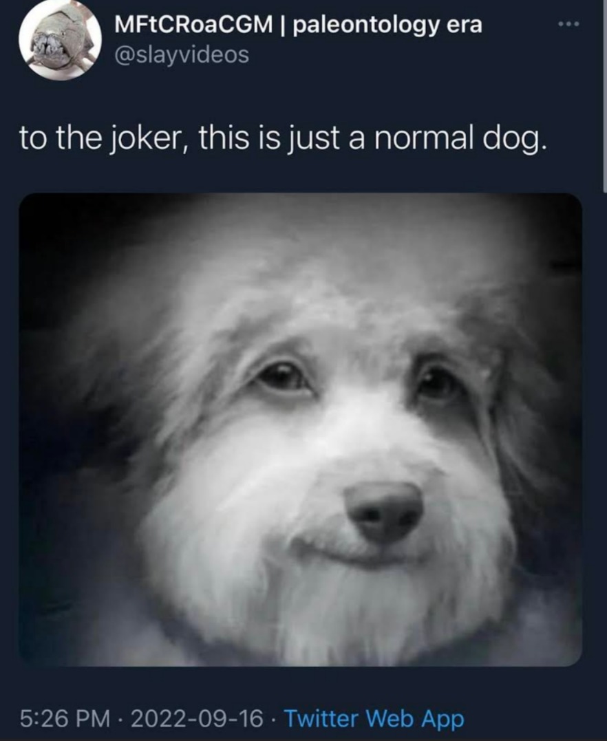 Don't let it fool you, this dog is a menace to society - meme