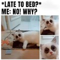 Late to bed?