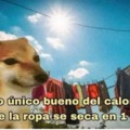 Lo único bueno del calor