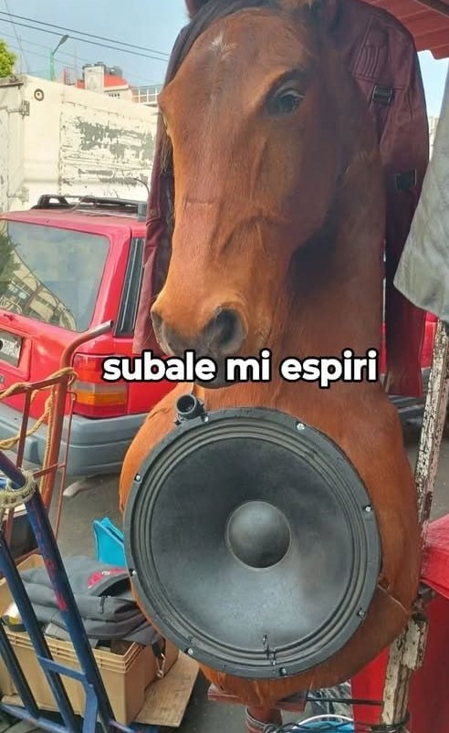 Altavoz decorativo de caballo - meme