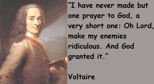 Voltaire is my Steam tag - meme