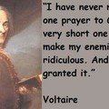 Voltaire is my Steam tag