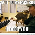I deer you