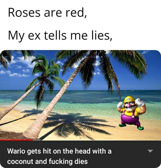 Roses are red, my ex tells me lies - meme