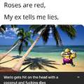 Roses are red, my ex tells me lies