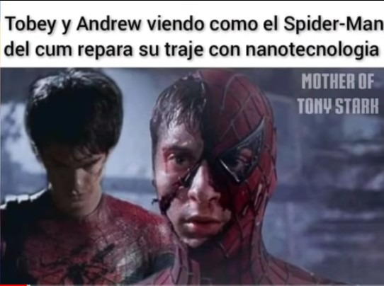 Spider-Tony - meme