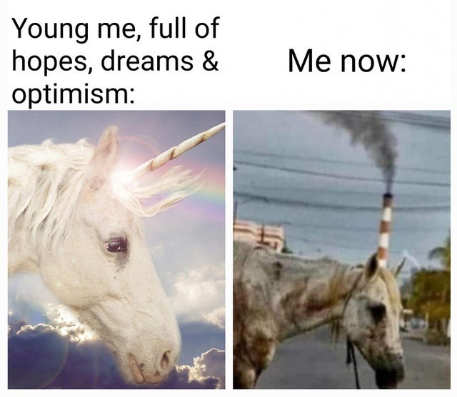 Hopes, dreams and optimism - meme