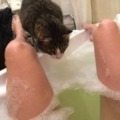 Wet pussy in ...3 ...2 ...1
