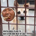 South Korea plans to ban eating dog meat by 2027