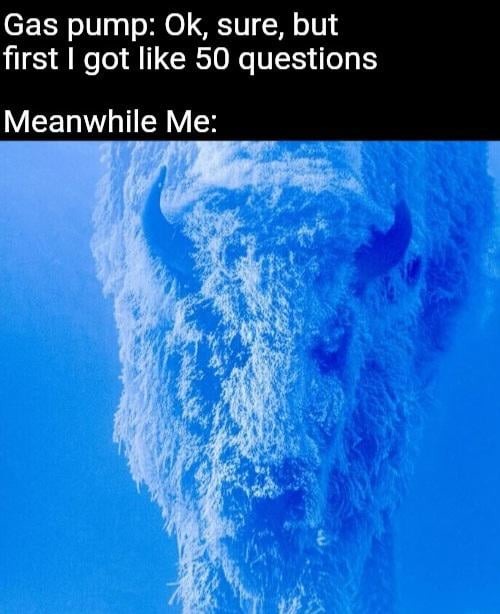 Gas pump: Before we start, just a quick 50 questions - meme