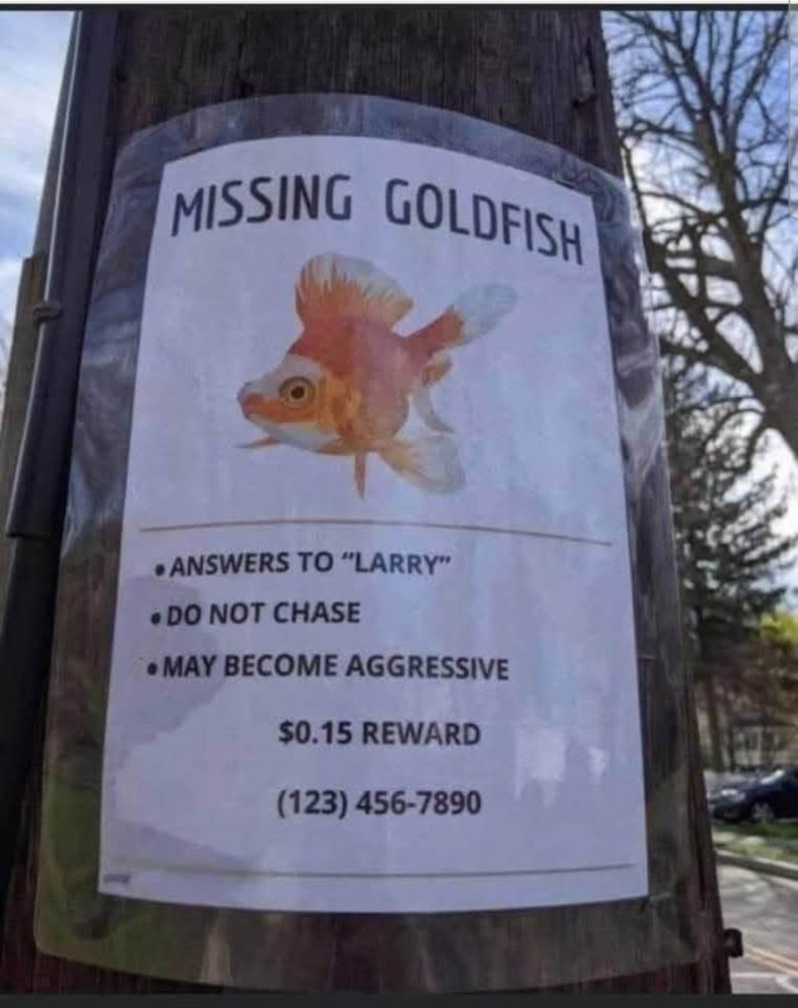 Goldfish on the loose - meme