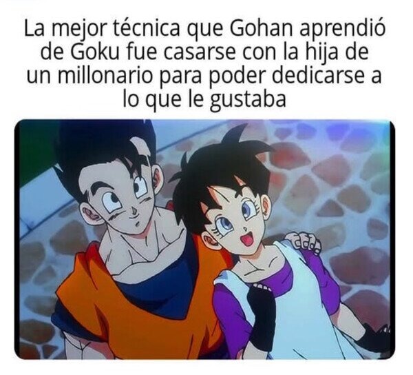 Gohan fue listo y se aseguró la vida con suegro rico - meme