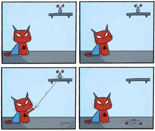 Spidercat - meme