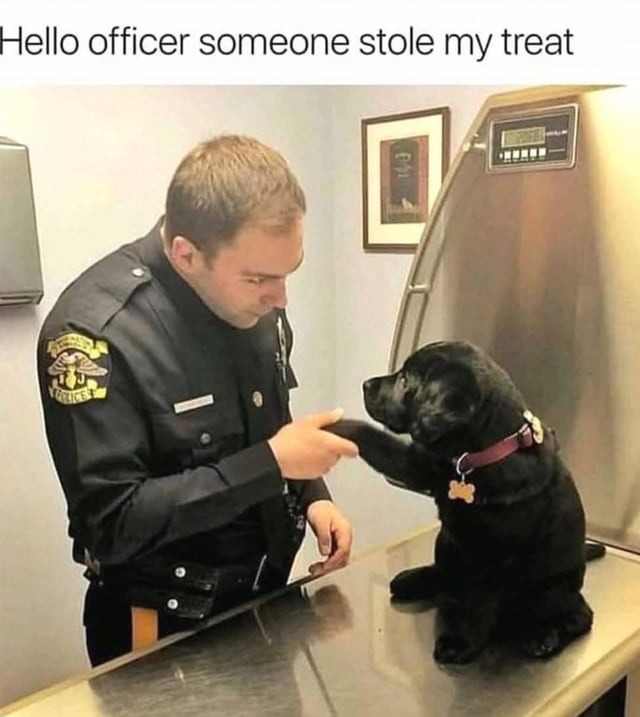 Officer please, someone stole my treat and my will to live - meme