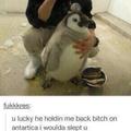 Penguin. PengWIN