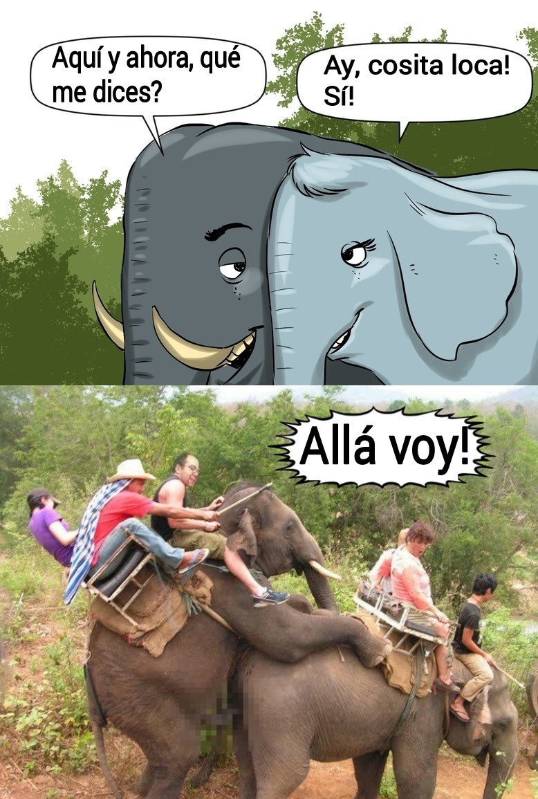 Elefantes loquillos - meme