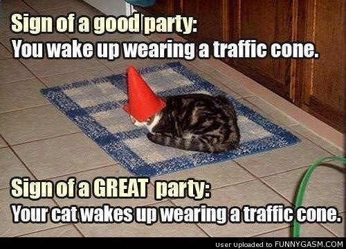 Omg I want a traffic cone hat!! - meme