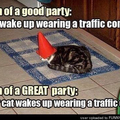 Omg I want a traffic cone hat!!