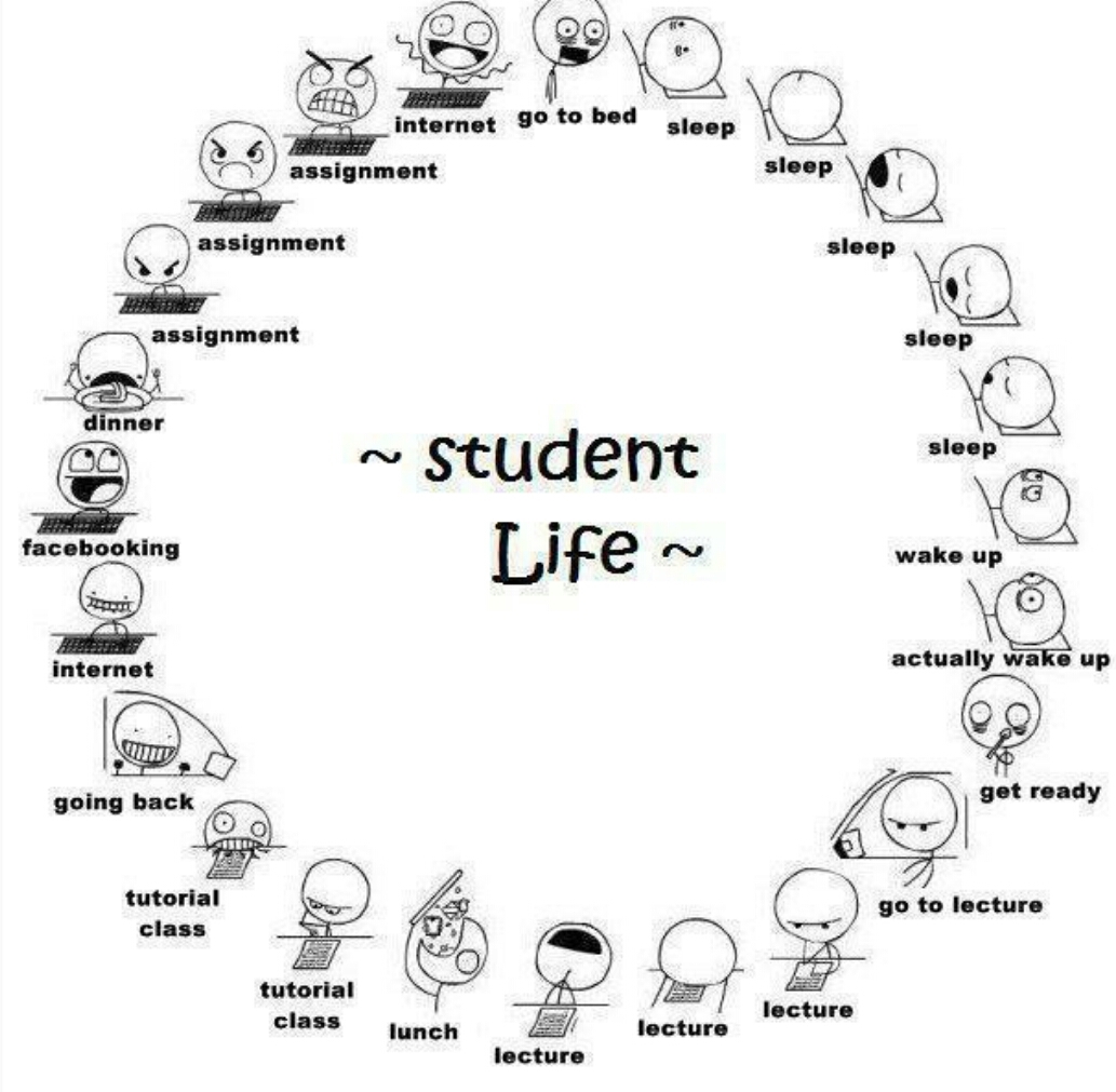 life of a student - meme