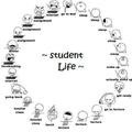 life of a student