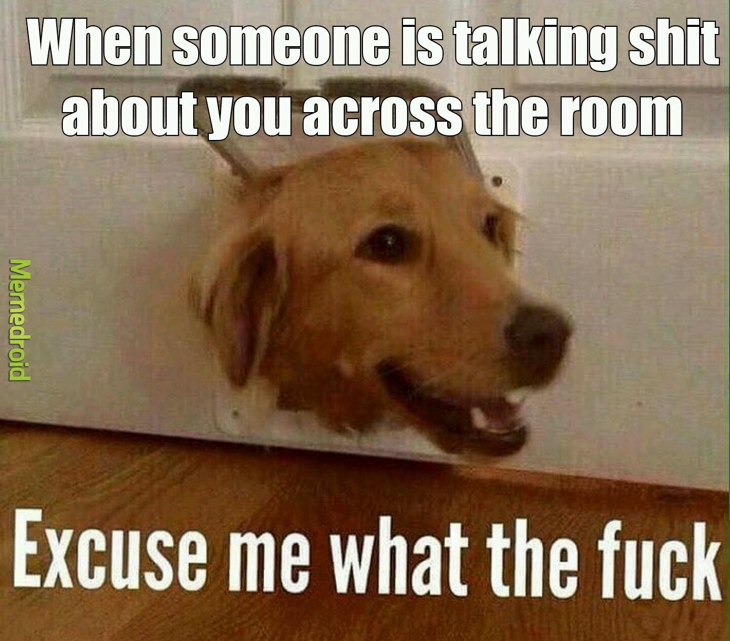 You are excused pupper - meme