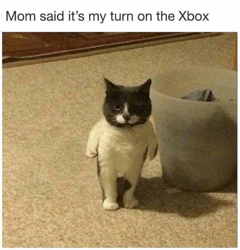 Trad: a mãe disse q é a minha vez no xbox - meme