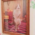 La obra mas valiosa de un museo: el gato que tiene que ir