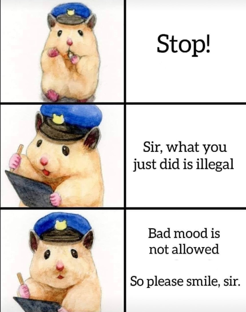 The latest memes memedroid