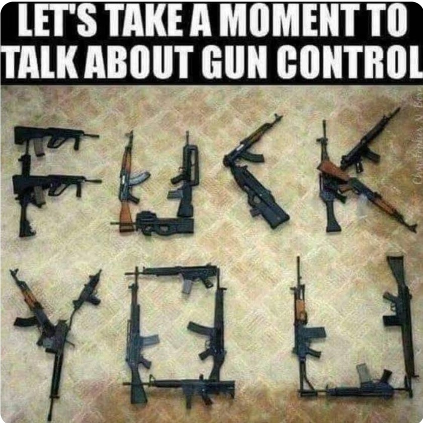 Gun Control - meme