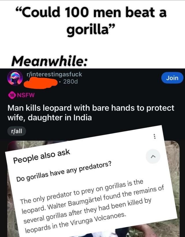 Debating gorilla vs men while a guy kills a leopard barehanded - meme