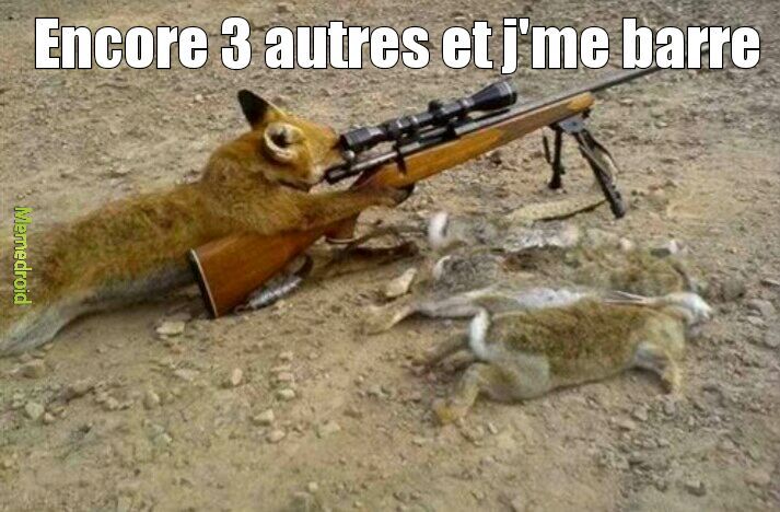 Sniper Fox - meme