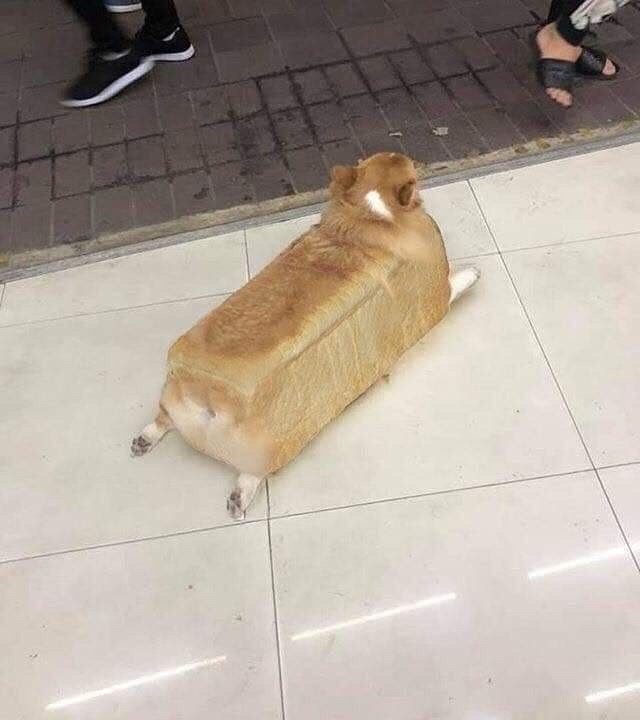 Loaf - meme