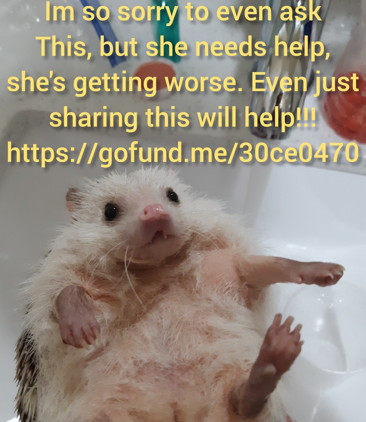 Thank you guys, please keep her in your thoughts! :,( - meme