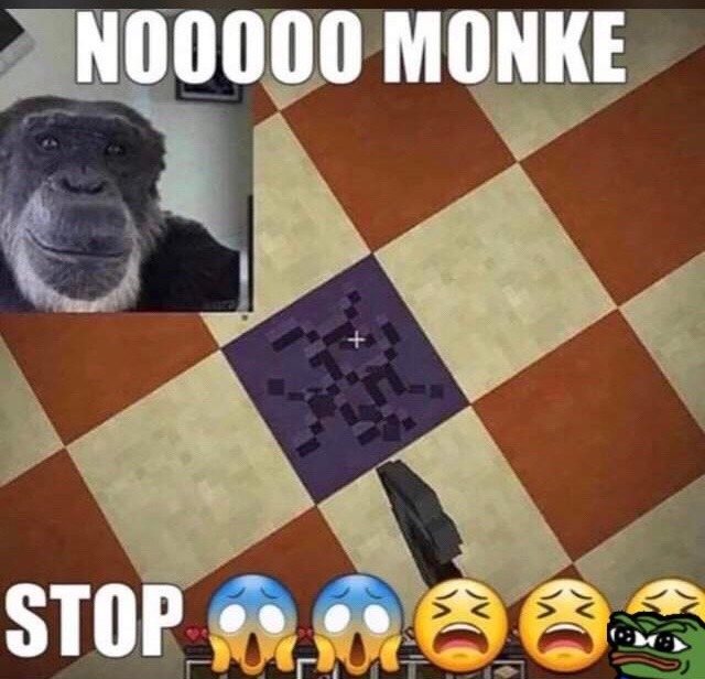 monke - meme