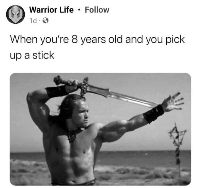 you're 8 years old and pick up a stick - meme