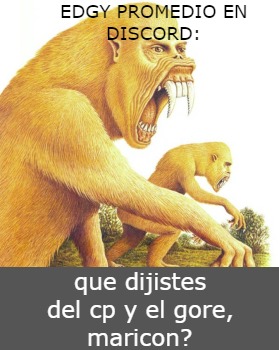 Edgys En Discord - meme