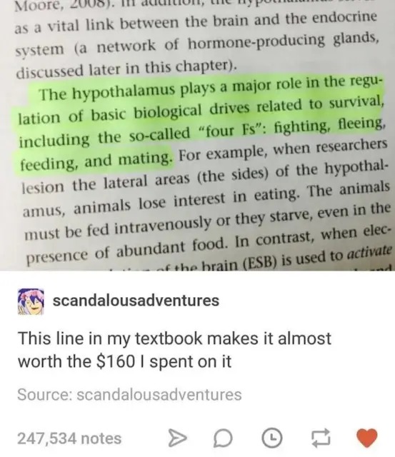 Ah yes, mating... - meme