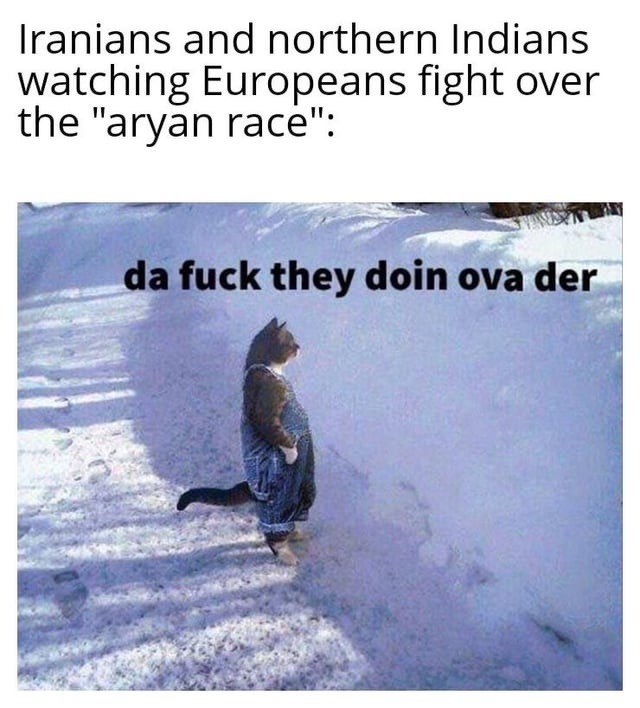 Iranians and Indians watching Europeans argue Aryan stuff like wtf - meme