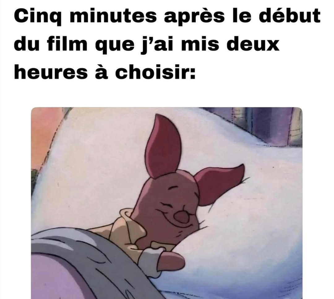 J'me suis endormi 5min après avoir choisi un film pendant 2h - meme