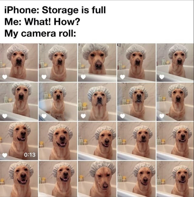 iPhone: storage full — camera roll: 0:13 of chaos - meme