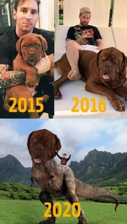 La evolución del perro de Messi. :v - meme