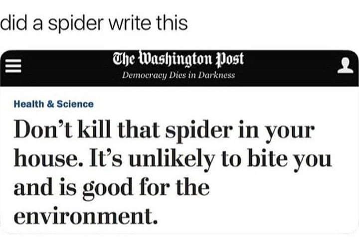 Spiders = extinction - meme