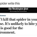 Spiders = extinction