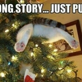 Cat in xmas tree