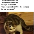 password plz