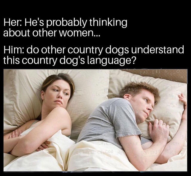International dog's language - meme
