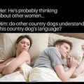 International dog's language