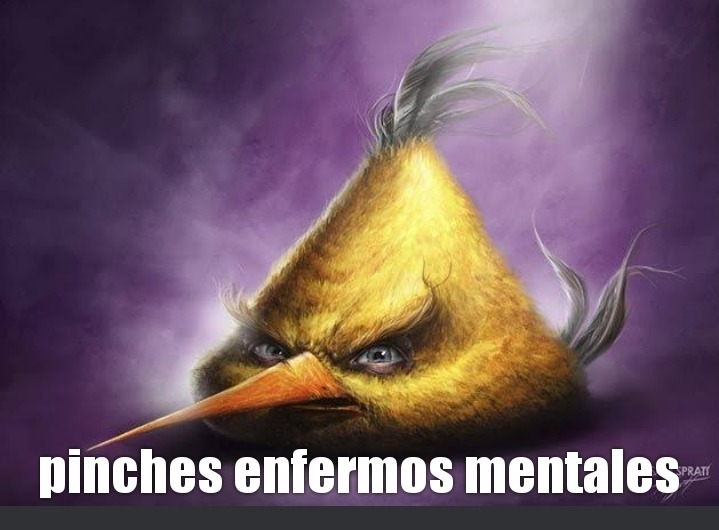Angry bird realista - meme