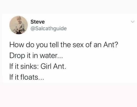 Dad drone ants love to tell this joke - meme