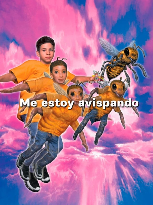 Me estoy avispando - meme